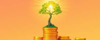 Rentabilidad a Largo Plazo: Estrategias Duraderas